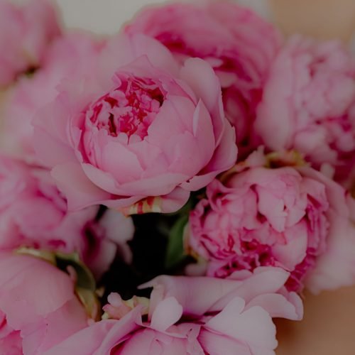 Shooting photo fleuri à Lyon Pivoine & Gourmandises fleuriste pour décor floral sur mesure