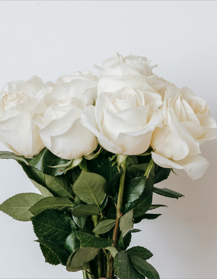 Brassée de roses blanches