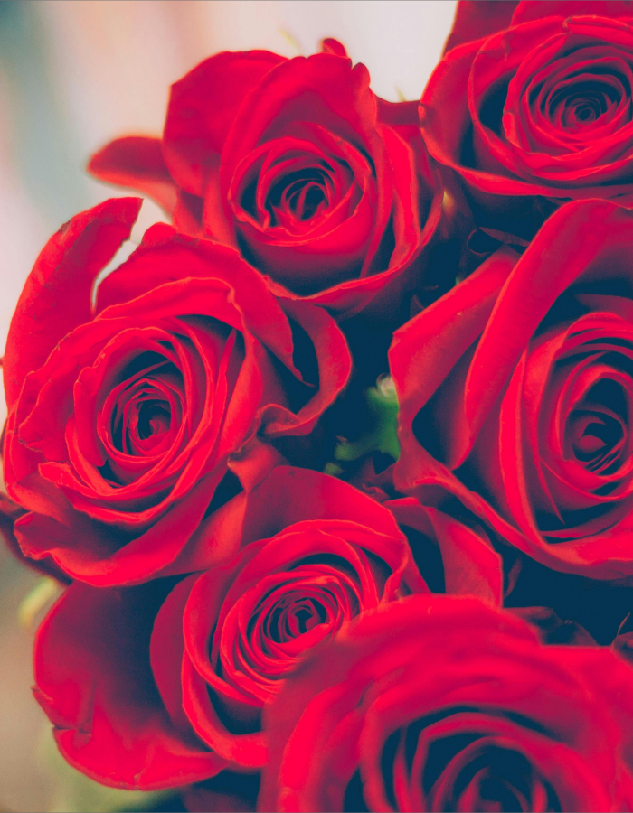 Brassée de roses rouges